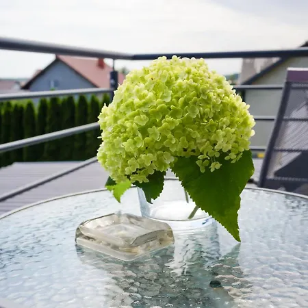 Apartamento Goscinne Irga