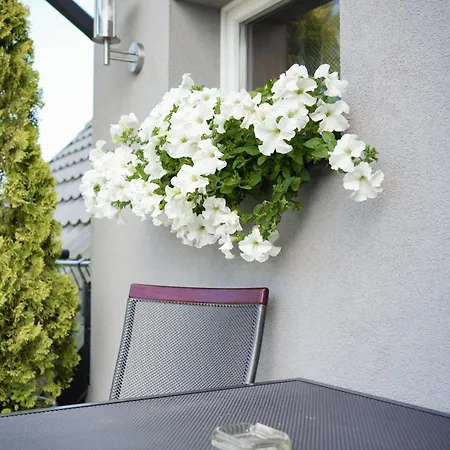 Goscinne Irga Apartamento