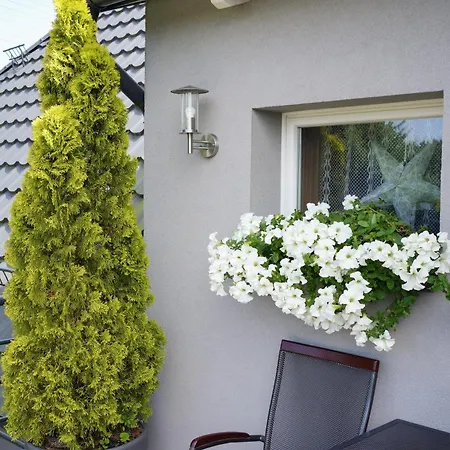 Gościnne Irga Apartament *