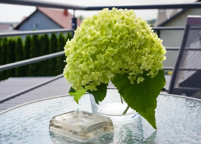 Apartament Gościnne Irga