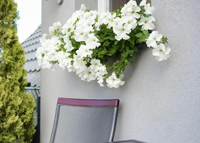 Gościnne Irga Apartament