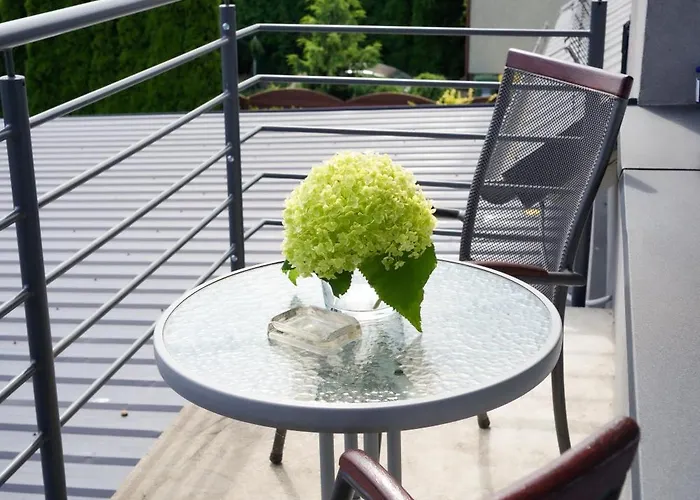 Gościnne Irga Apartament